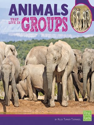 cover image of Animals That Live in Groups
